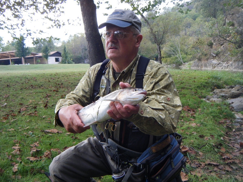 DSCF0683.JPG