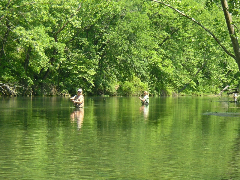 IMGP0456.JPG